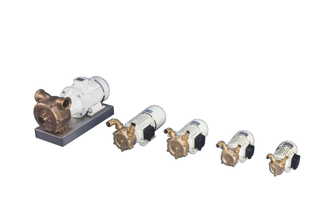 ΑΝΤΛΙΑ CEM 025 S/P 230-400V